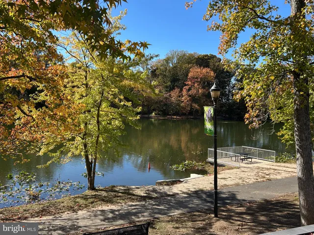 a view of a lake view with a tree