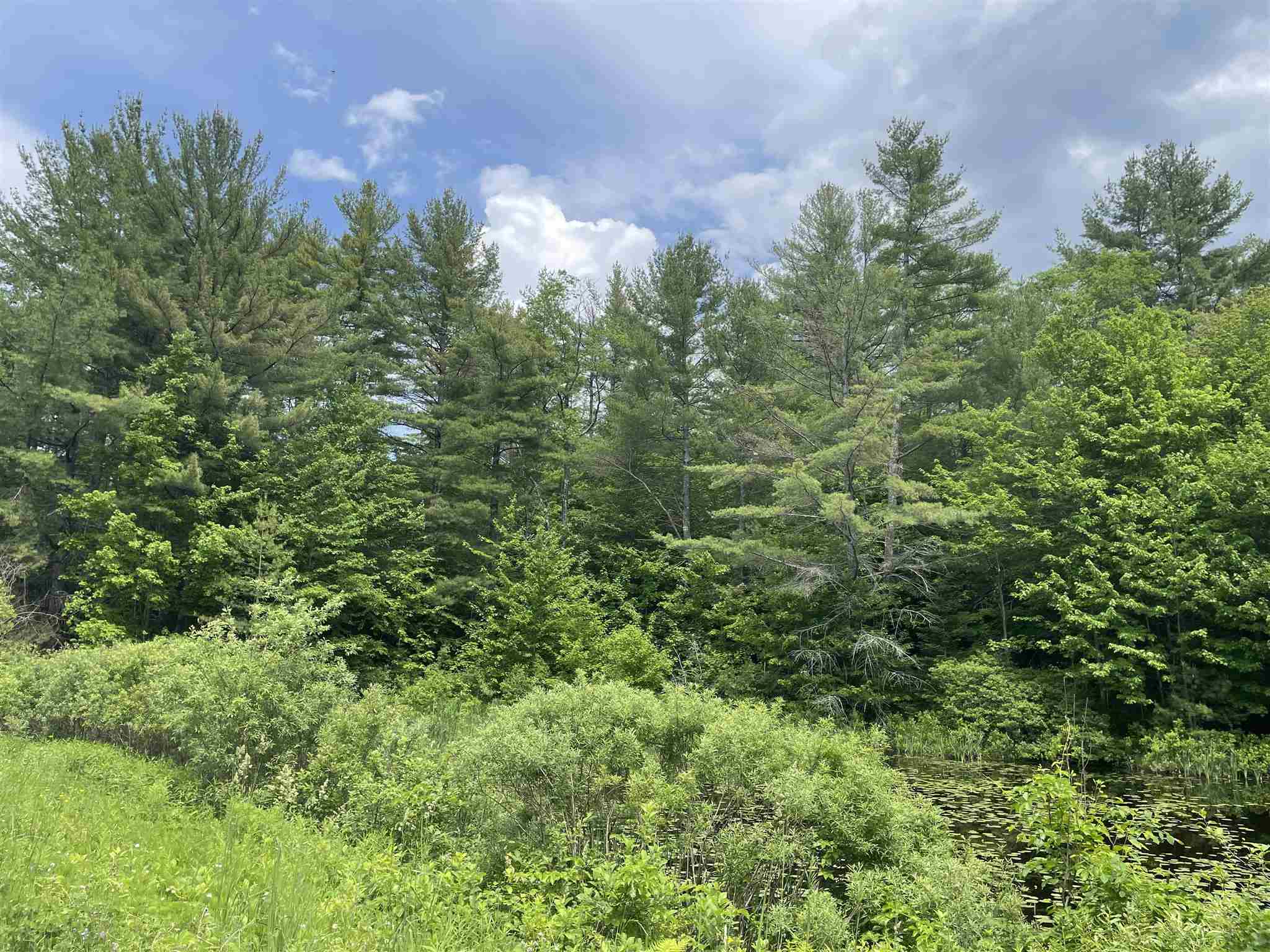 180 Old Tavern Road Weston, VT 05161 - Photo 5 of 16