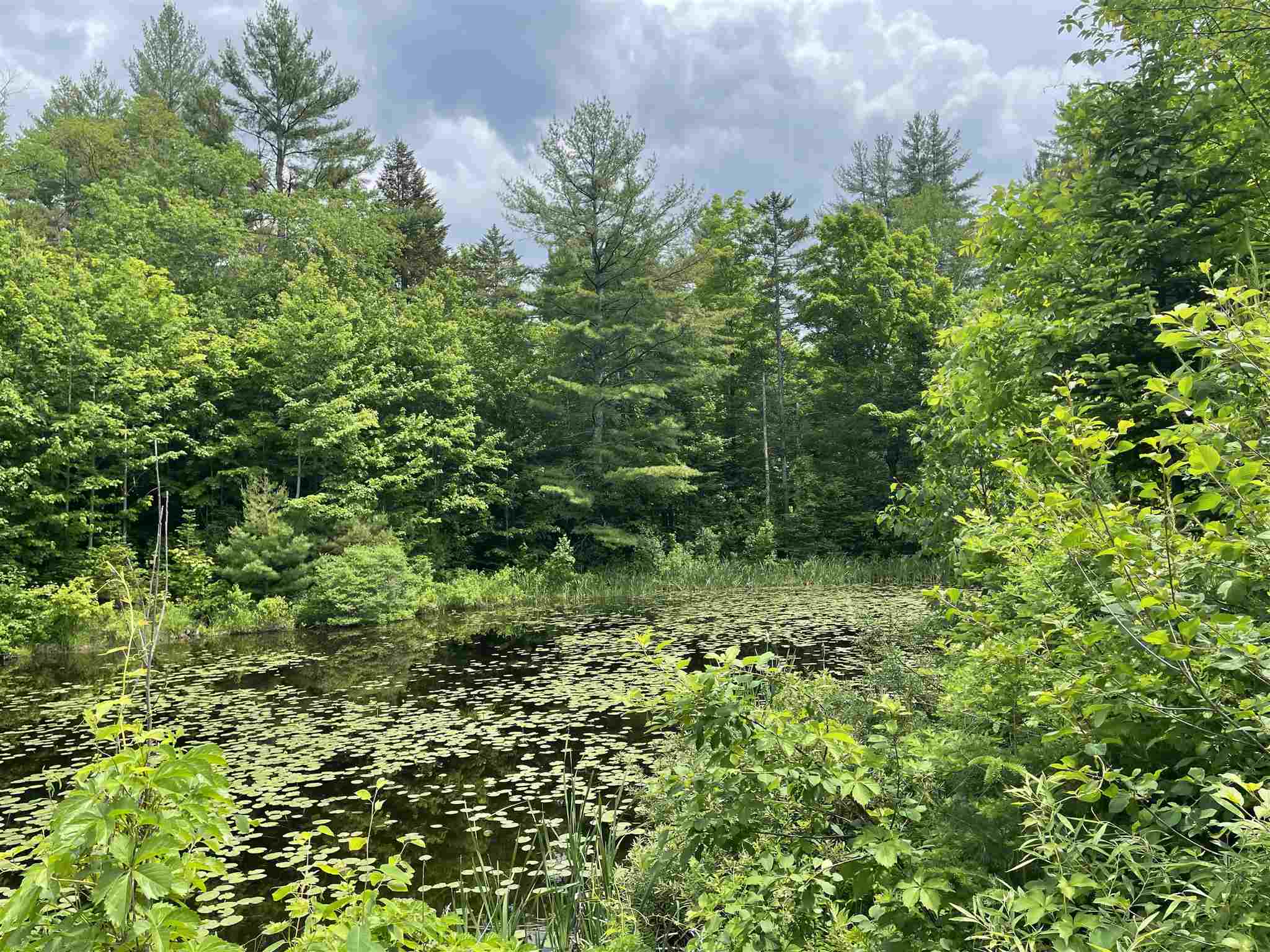 180 Old Tavern Road Weston, VT 05161 - Photo 6 of 16
