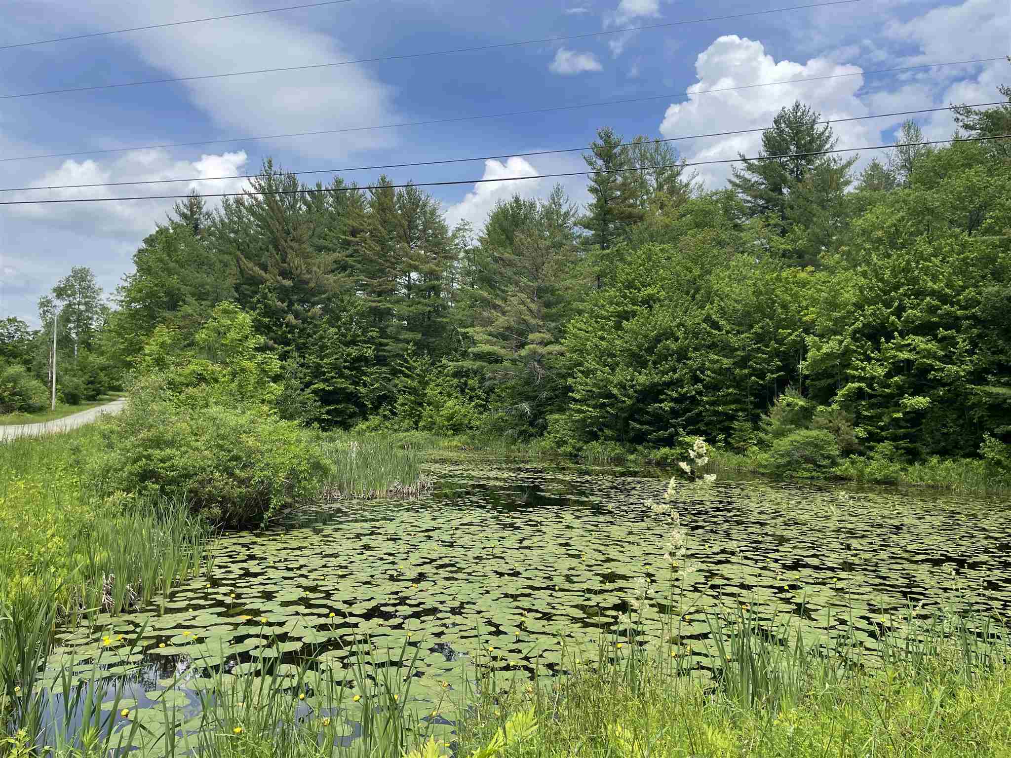 180 Old Tavern Road Weston, VT 05161 - Photo 8 of 16