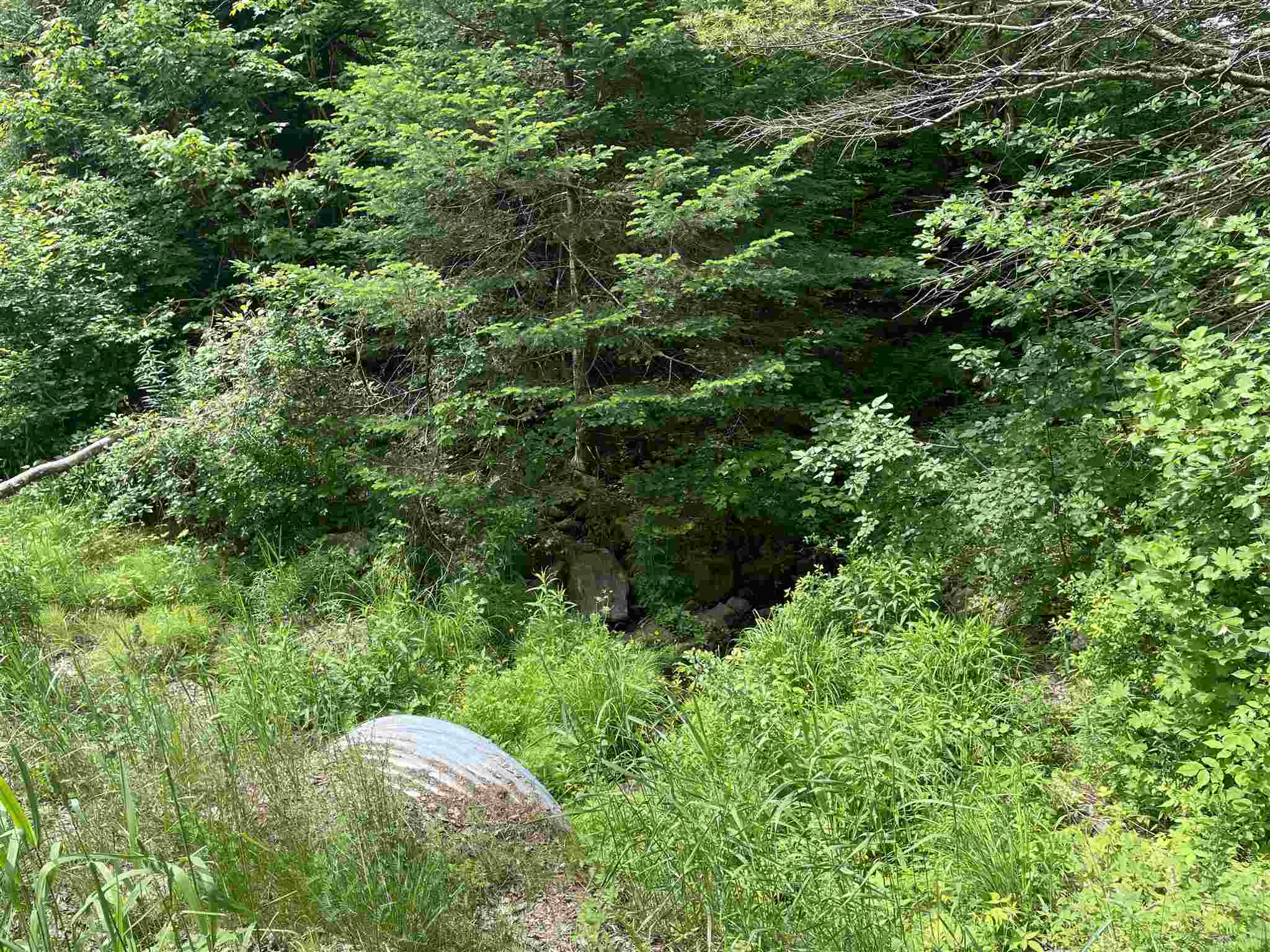 180 Old Tavern Road Weston, VT 05161 - Photo 10 of 16