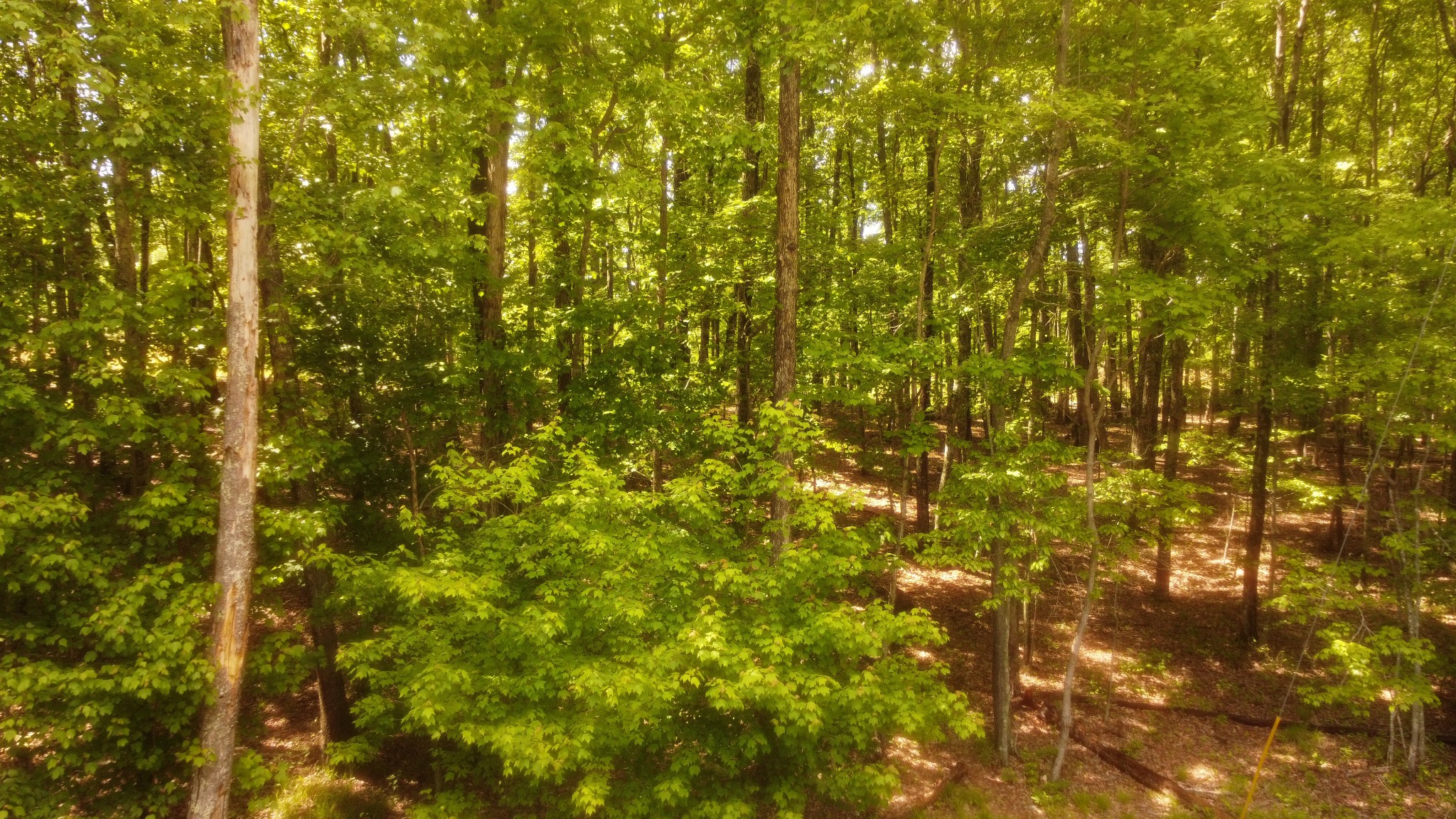 0 Ravens Den Road Sewanee, TN 37375 - Photo 15 of 23
