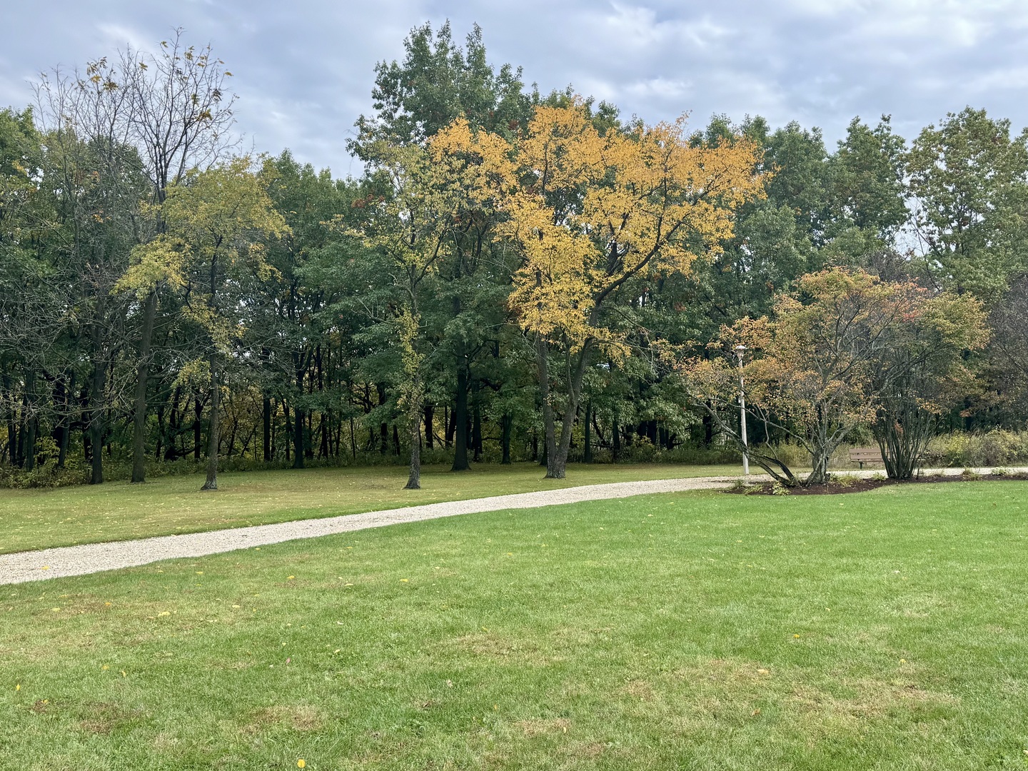 18 Greenview Road Oakwood Hills, IL 60013 - Photo 29 of 35 a view of a park with large trees