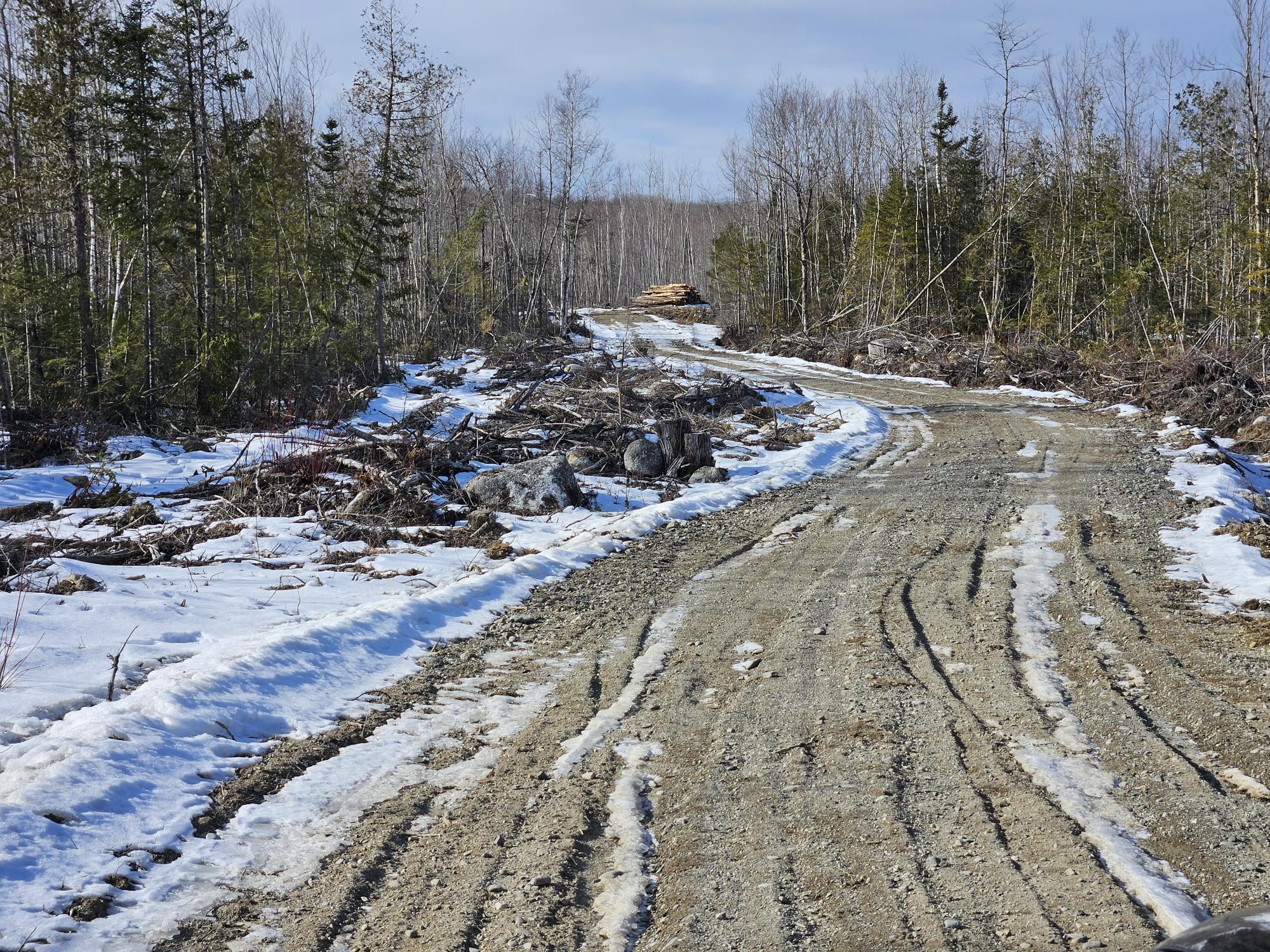Lot7 Point Road Ellsworth, ME 04605 - Photo 15 of 29 20240214_134141
