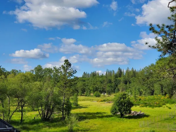 a view of a golf course with a garden