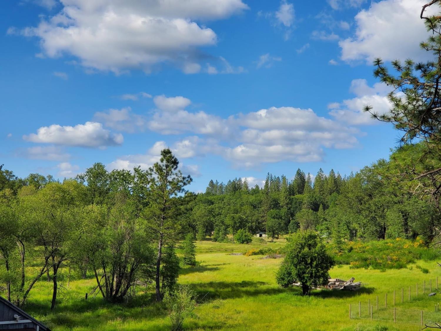 5001 Sheppards Trail Garden Valley, CA 95633 - Photo 1 of 1 a view of a golf course with a garden