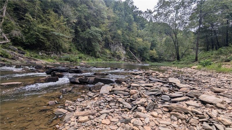 1328 Birch Lane Ranger, GA 30734 - Photo 28 of 33 a view of a forest with trees