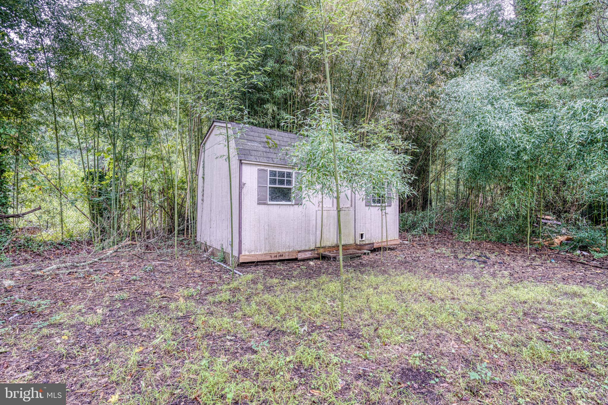 18 Oak Street Cambridge, MD 21613 - Photo 38 of 43 a view of a house with a yard and tree