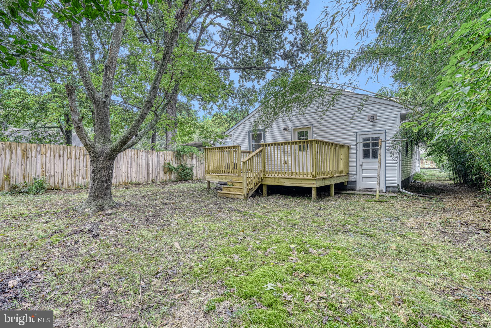 18 Oak Street Cambridge, MD 21613 - Photo 39 of 43 a view of backyard with a garden and trees