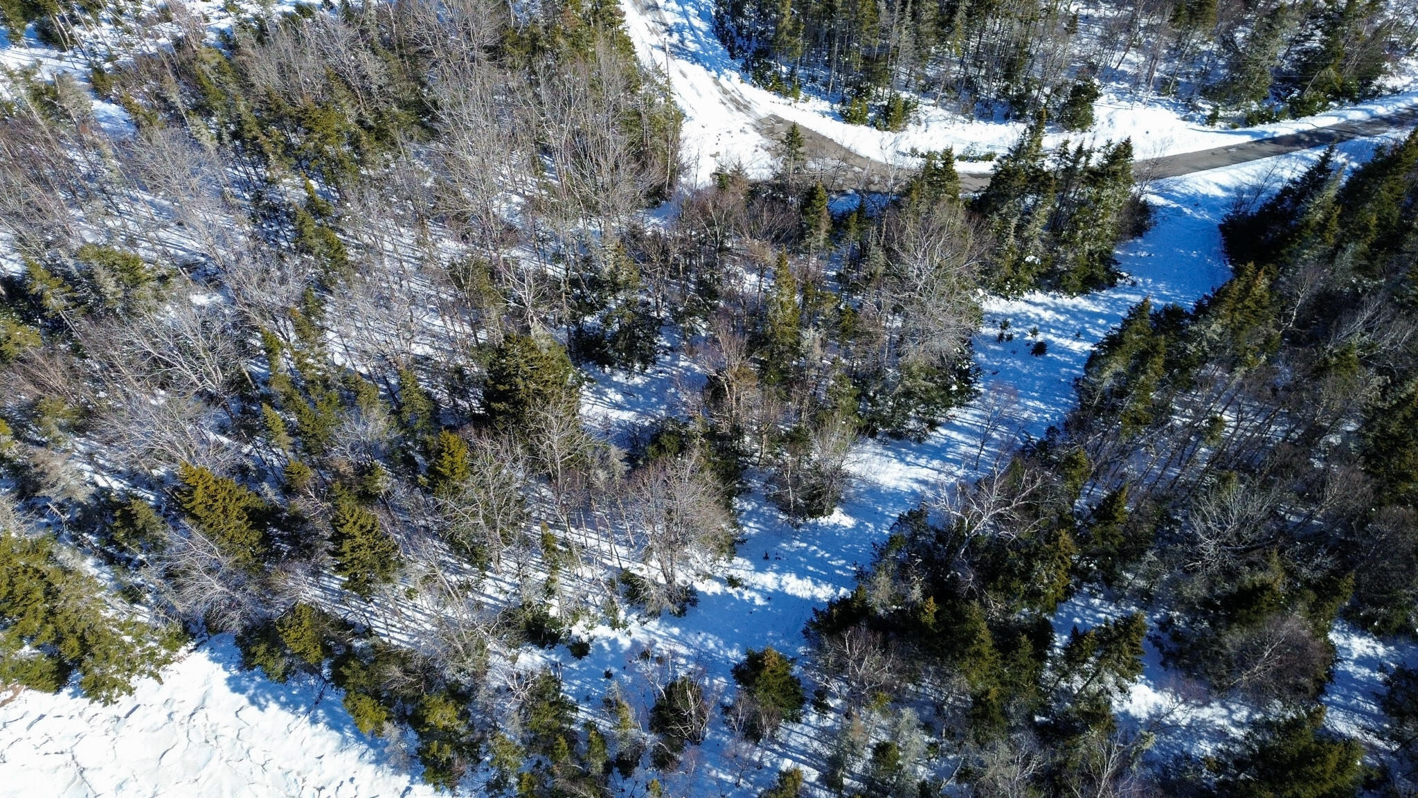 Lot 50 Cove Road Machiasport, ME 04655 - Photo 33 of 34 34