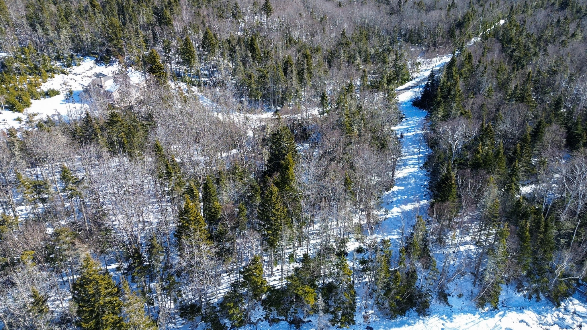 Lot 50 Cove Road Machiasport, ME 04655 - Photo 9 of 34 9