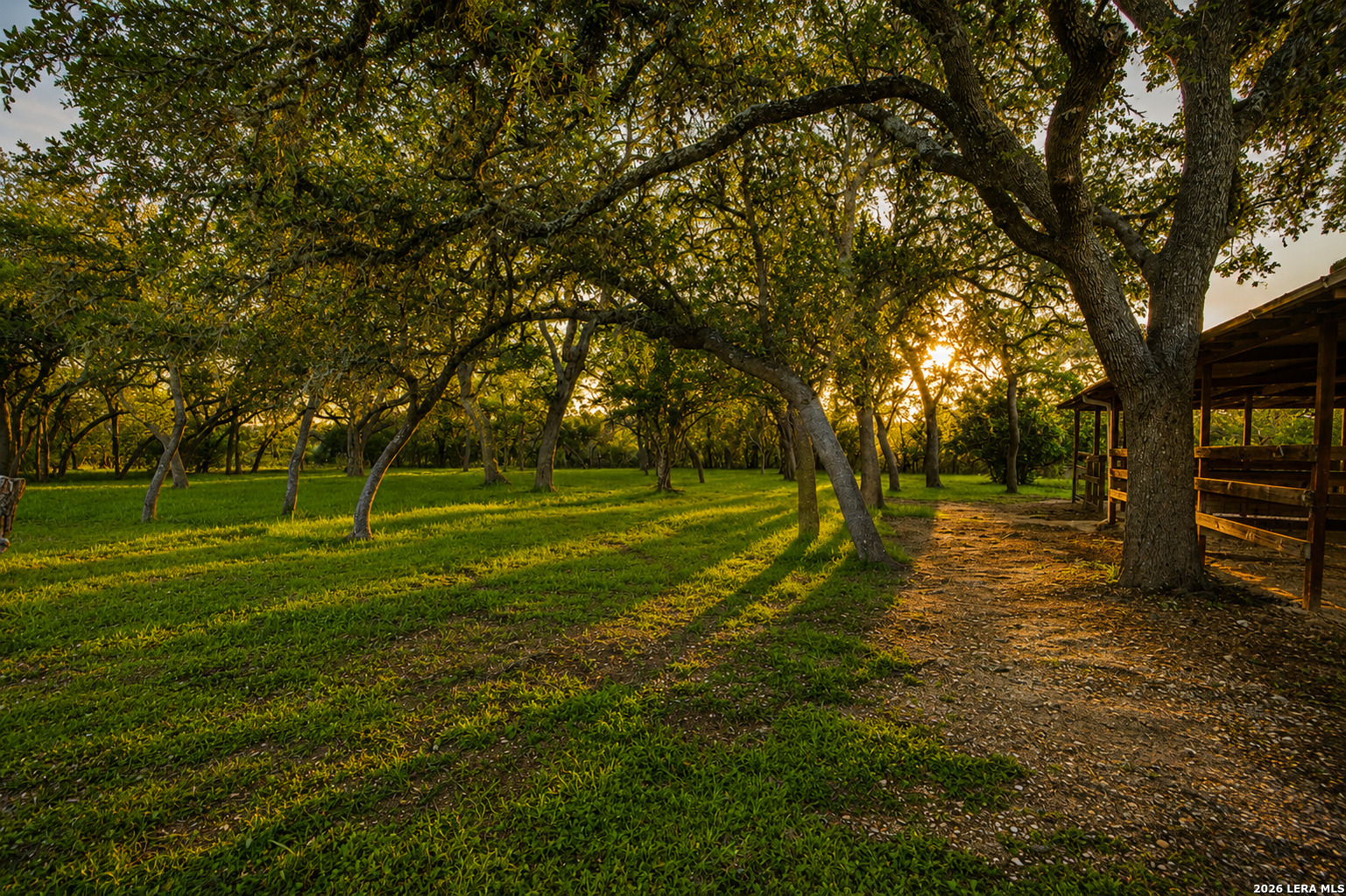 3273 Privilege Creek Road Pipe Creek, TX 78063 - Photo 20 of 57