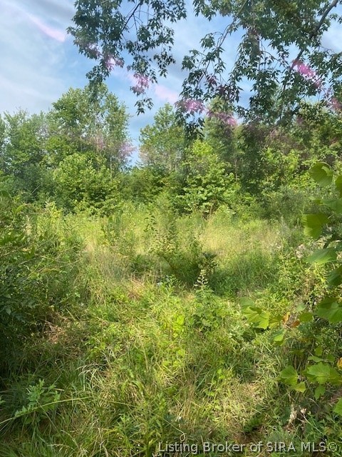 1162 South Gardner St