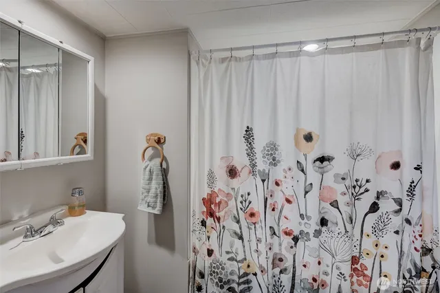 a bathroom with a shower curtain and a sink