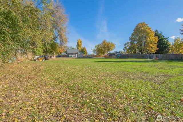 a view of a green yard and trees
