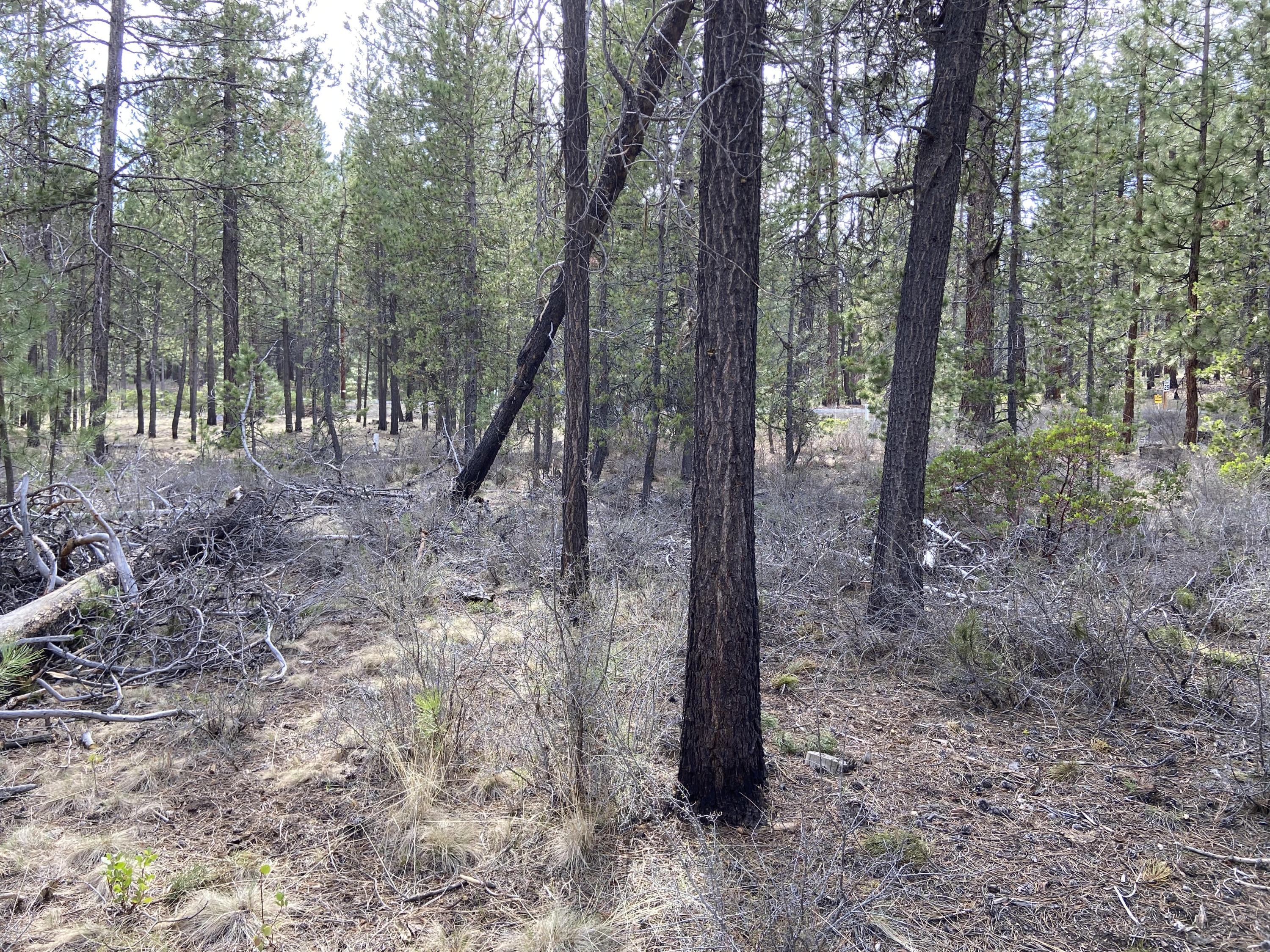 56890 Besson Road Bend, OR 97707 - Photo 10 of 12 11