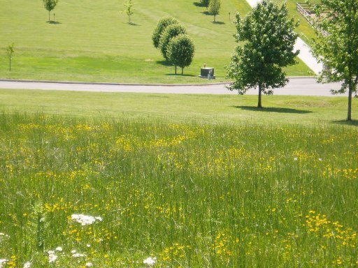 5560 J Riley W Drive Greenback, TN 37742 - Photo 1 of 18 Primary Photo