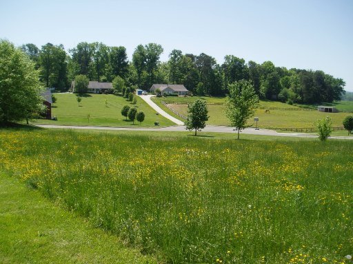 5560 J Riley W Drive Greenback, TN 37742 - Photo 11 of 18 Additional Photo