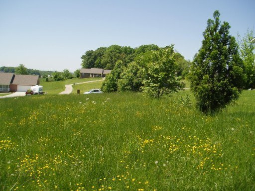 5560 J Riley W Drive Greenback, TN 37742 - Photo 13 of 18 Additional Photo