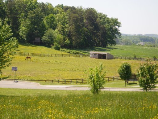 5560 J Riley W Drive Greenback, TN 37742 - Photo 14 of 18 Additional Photo