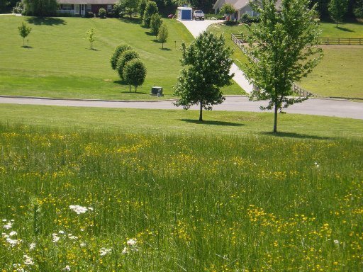 5560 J Riley W Drive Greenback, TN 37742 - Photo 15 of 18 Additional Photo