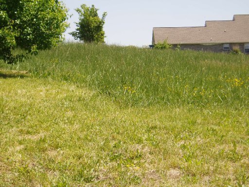 5560 J Riley W Drive Greenback, TN 37742 - Photo 16 of 18 Additional Photo