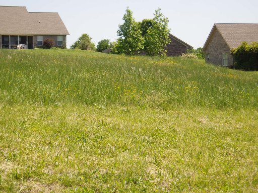 5560 J Riley W Drive Greenback, TN 37742 - Photo 17 of 18 Additional Photo