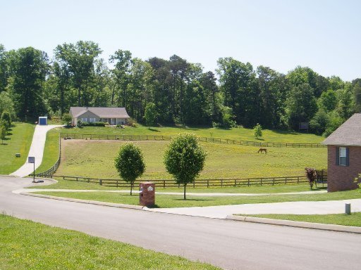 5560 J Riley W Drive Greenback, TN 37742 - Photo 3 of 18 Additional Photo
