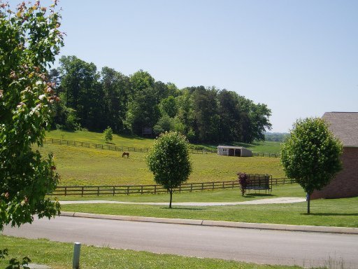 5560 J Riley W Drive Greenback, TN 37742 - Photo 6 of 18 Additional Photo