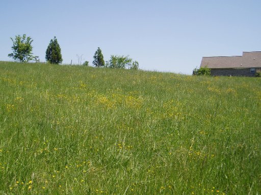 5560 J Riley W Drive Greenback, TN 37742 - Photo 7 of 18 Additional Photo