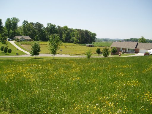 5560 J Riley W Drive Greenback, TN 37742 - Photo 9 of 18 Additional Photo