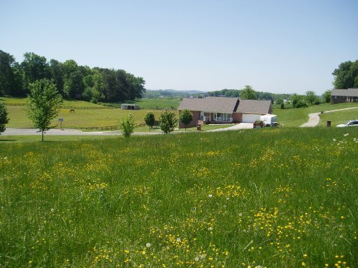 5560 J Riley W Drive Greenback, TN 37742 - Photo 10 of 18 Additional Photo