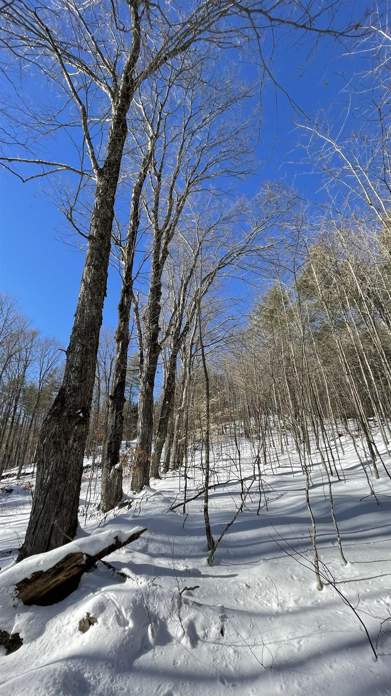 Masterson Road Bethel, VT 05032 - Photo 3 of 11