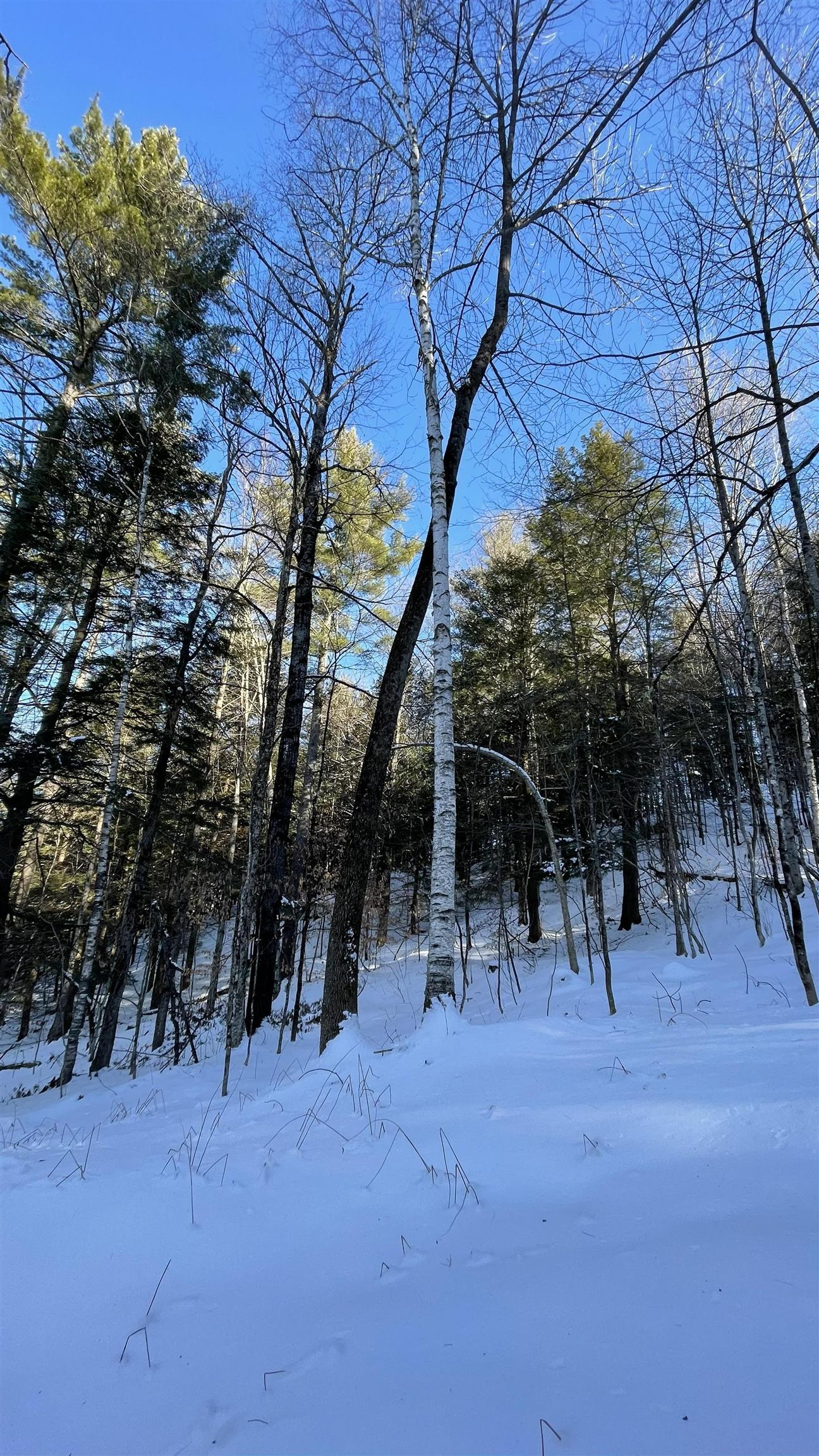 Masterson Road Bethel, VT 05032 - Photo 4 of 11