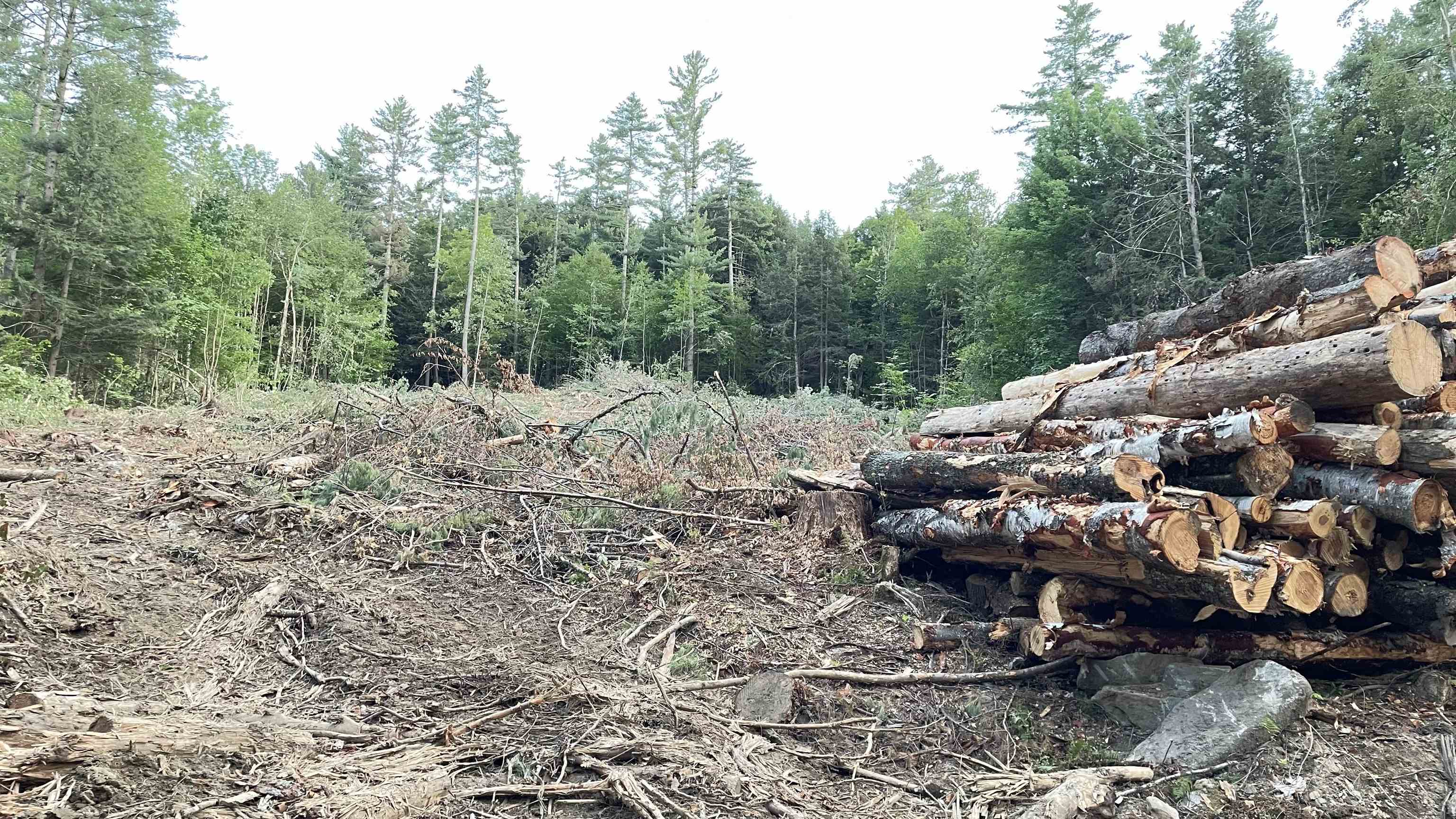 Masterson Road Bethel, VT 05032 - Photo 5 of 11