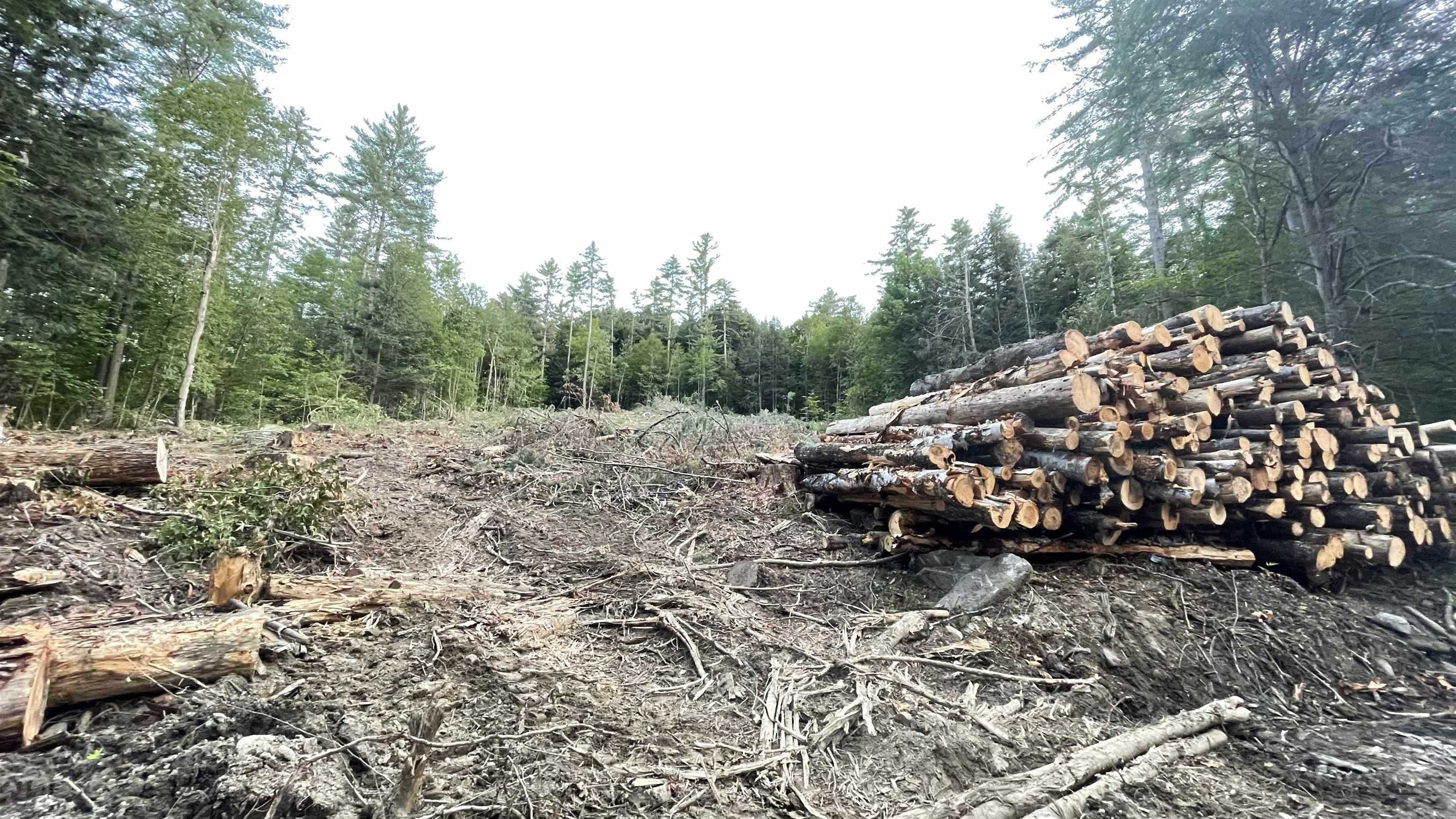 Masterson Road Bethel, VT 05032 - Photo 6 of 11