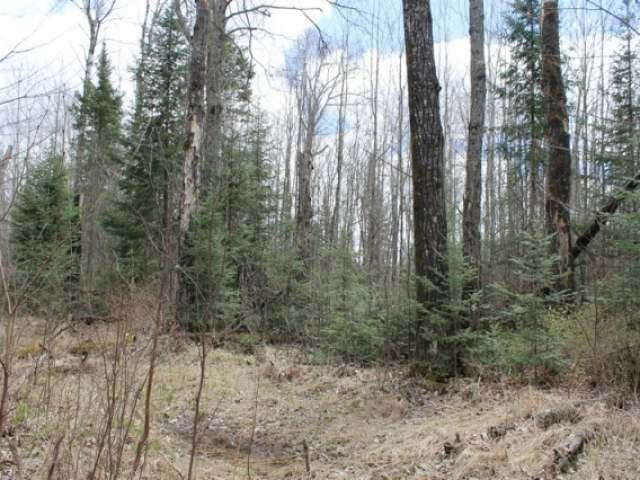 Near West Turtle Rpds Lane, Unit A B Mercer, WI 54547 - Photo 9 of 14 Gallery Image 9