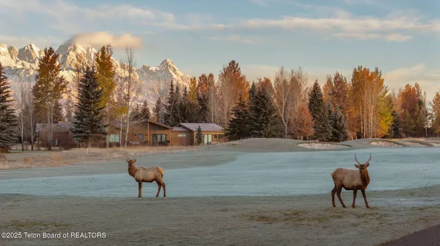 $6,395,000 | 6240 North Prickly Pear Lane, Jackson, WY 83001