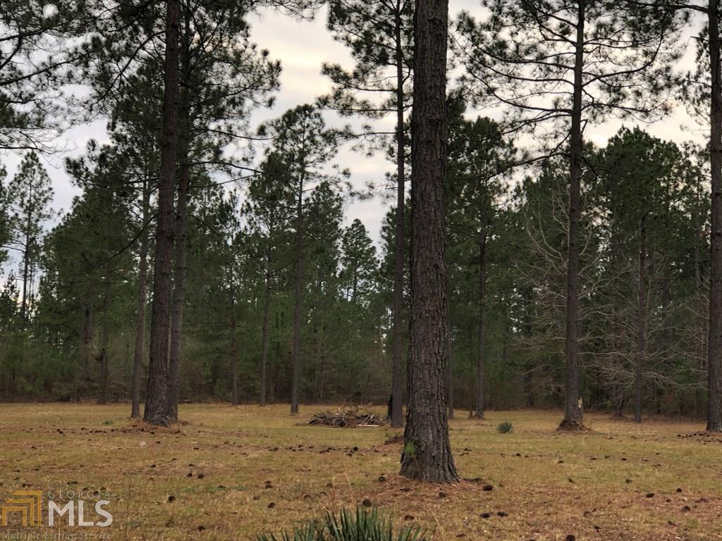 0 Spearhead Road, Unit 6 Dublin, GA 31021 - Photo 1 of 1 Gallery Image 1