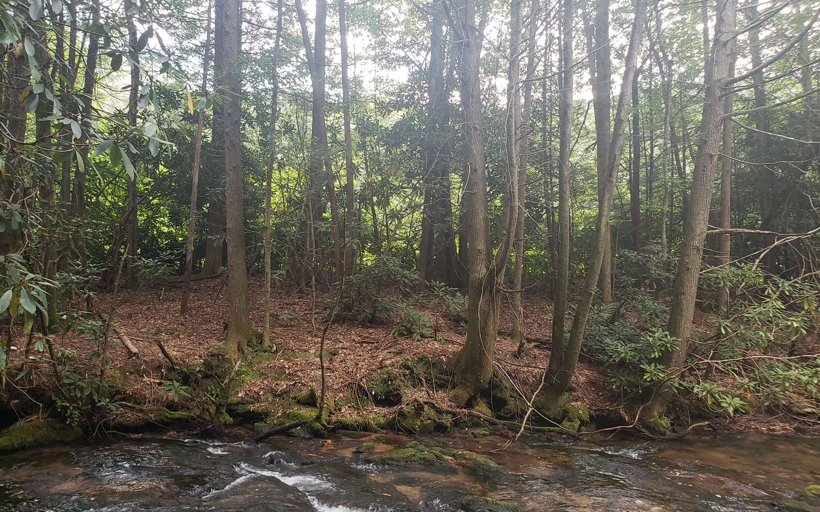 Cashes Valley Road Ellijay, GA 30540 - Photo 3 of 4 Additional View
