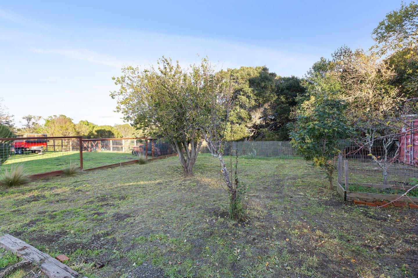 3946 La Colina Road El Sobrante, CA 94803 - Photo 46 of 49 a view of a tree in a yard