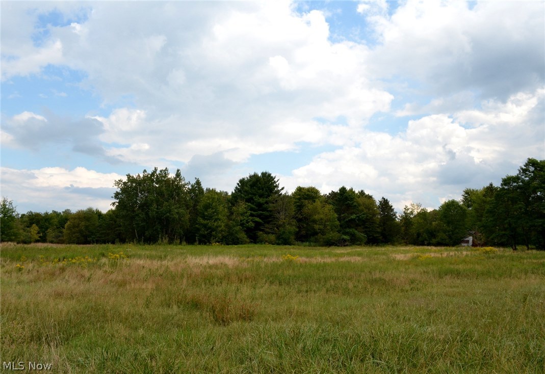 8909 Old State Road Chardon, OH 44024 - Photo 5 of 9