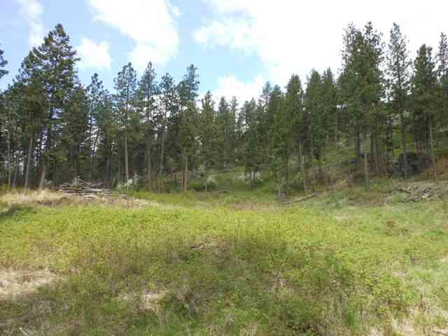 13300 East Moffat Road Spokane, WA 99217 - Photo 1 of 11