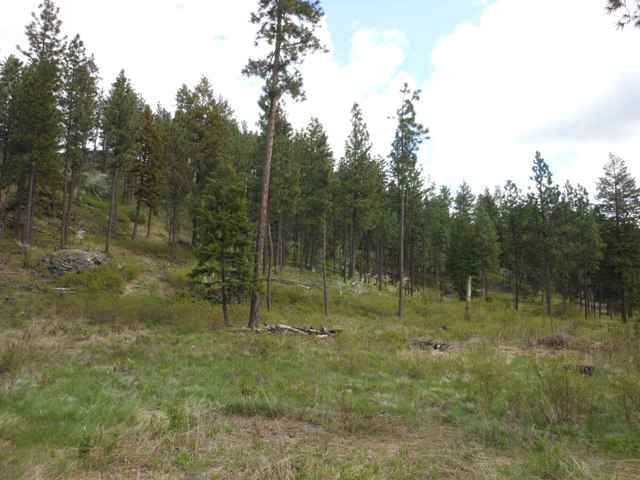 13300 East Moffat Road Spokane, WA 99217 - Photo 2 of 11
