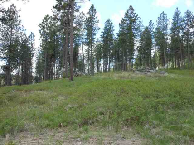 13300 East Moffat Road Spokane, WA 99217 - Photo 3 of 11