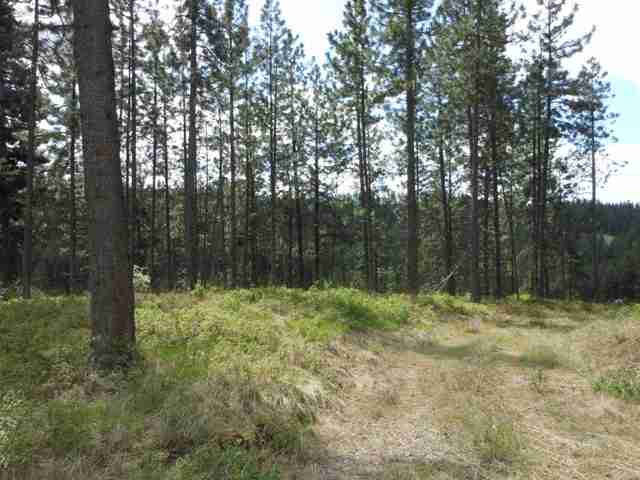 13300 East Moffat Road Spokane, WA 99217 - Photo 4 of 11