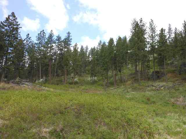 13300 East Moffat Road Spokane, WA 99217 - Photo 5 of 11