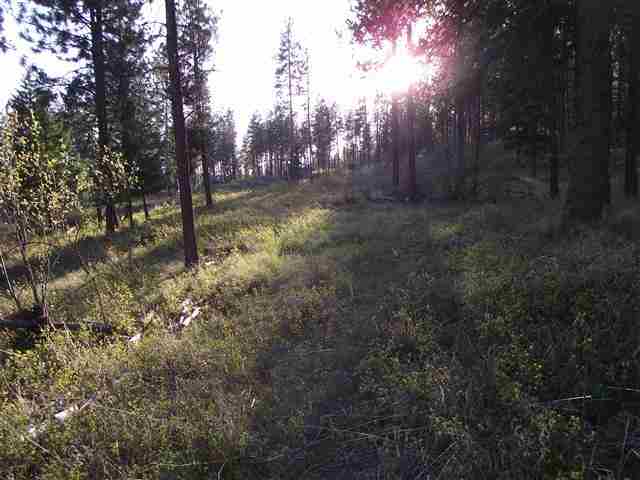 13300 East Moffat Road Spokane, WA 99217 - Photo 6 of 11