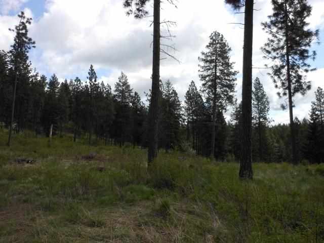 13300 East Moffat Road Spokane, WA 99217 - Photo 7 of 11