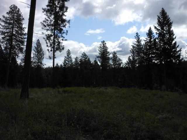 13300 East Moffat Road Spokane, WA 99217 - Photo 8 of 11
